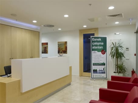 Image 10 of the Regus - Buyukdere cad - Levent - Istanbul office