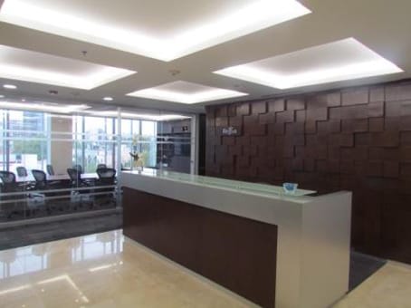 Image 10 of the Regus - Leibnitz Tower - Leibnistz Street - Colonia Nueva Anzures - Mexico City office