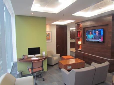 Image 17 of the Regus - Leibnitz Tower - Leibnistz Street - Colonia Nueva Anzures - Mexico City office