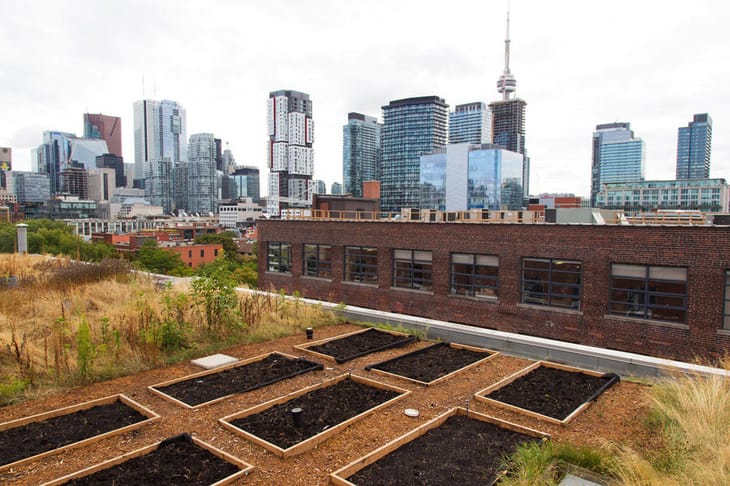 Image 7 of the Workhaus - Spadina - 215 Spadina Avenue - Toronto - ON office