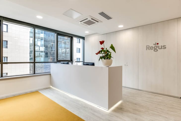 Image 26 of the Regus - Villeurbanne Le Patio - 35-37 Rue Louis Guérin - Immeuble Le Patio - Villeurbanne office