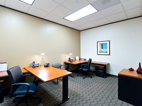 Image 18 of the Regus - One Riverway - 777 S. Post Oak Lane - Houston - TX office